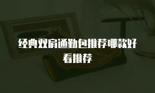经典双肩通勤包推荐哪款好看推荐