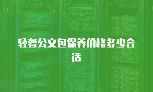 轻奢公文包保养价格多少合适