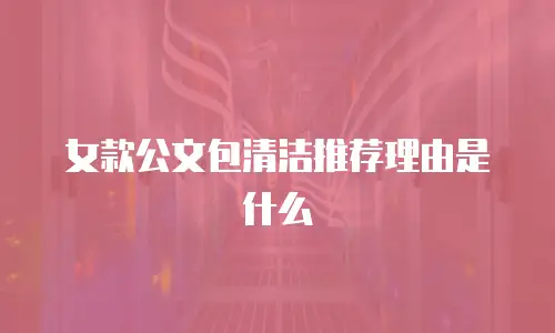 女款公文包清洁推荐理由是什么