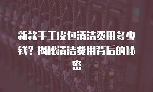 新款手工皮包清洁费用多少钱？揭秘清洁费用背后的秘密