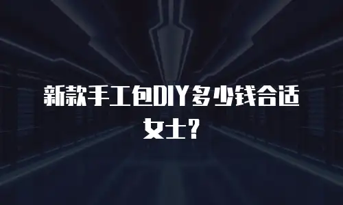 新款手工包DIY多少钱合适女士？