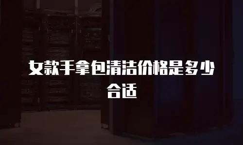 女款手拿包清洁价格是多少合适