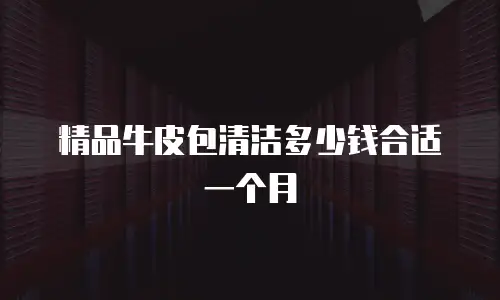 精品牛皮包清洁多少钱合适一个月