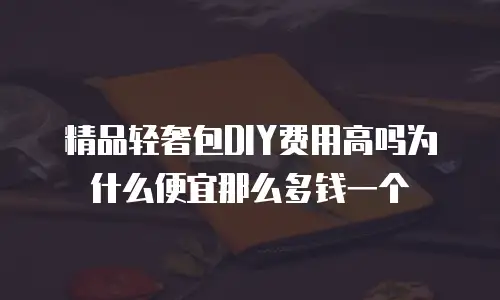 精品轻奢包DIY费用高吗为什么便宜那么多钱一个