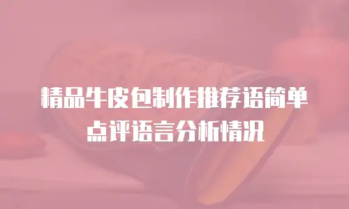 精品牛皮包制作推荐语简单点评语言分析情况