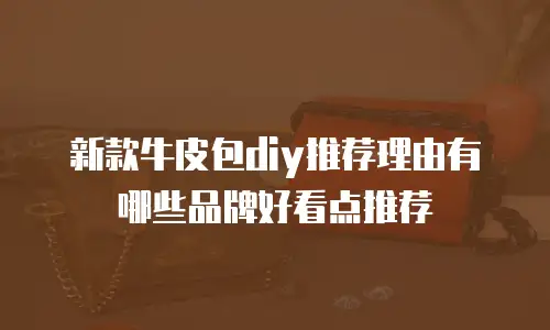 新款牛皮包diy推荐理由有哪些品牌好看点推荐
