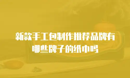 新款手工包制作推荐品牌有哪些牌子的纸巾吗
