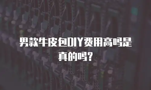 男款牛皮包DIY费用高吗是真的吗？