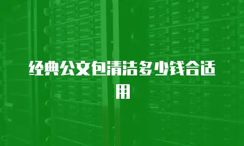 经典公文包清洁多少钱合适用