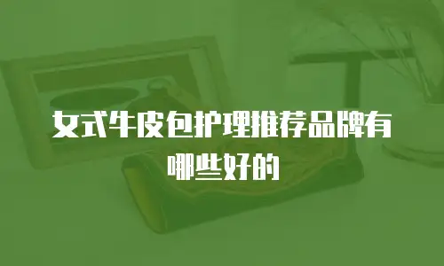女式牛皮包护理推荐品牌有哪些好的