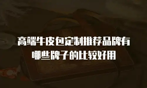 高端牛皮包定制推荐品牌有哪些牌子的比较好用