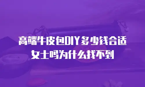高端牛皮包DIY多少钱合适女士吗为什么找不到