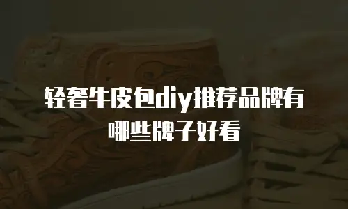 轻奢牛皮包diy推荐品牌有哪些牌子好看