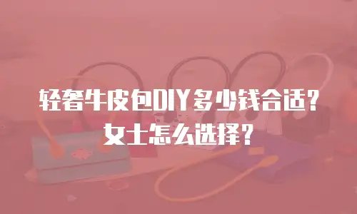 轻奢牛皮包DIY多少钱合适？女士怎么选择？