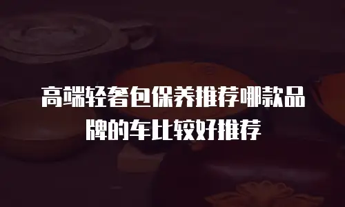 高端轻奢包保养推荐哪款品牌的车比较好推荐