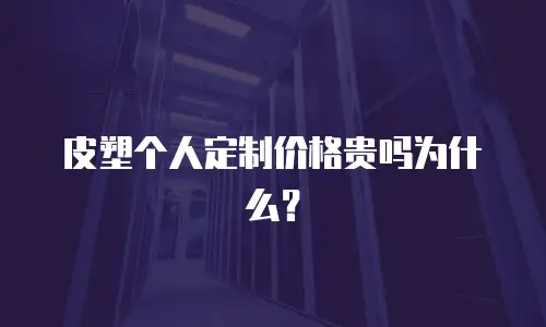 皮塑个人定制价格贵吗为什么？