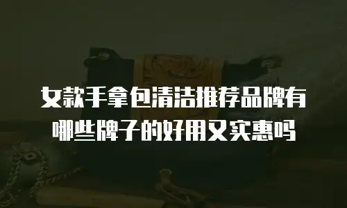 女款手拿包清洁推荐品牌有哪些牌子的好用又实惠吗