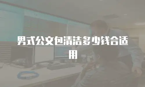 男式公文包清洁多少钱合适用