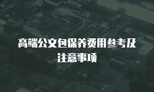 高端公文包保养费用参考及注意事项

