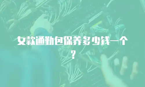 女款通勤包保养多少钱一个？