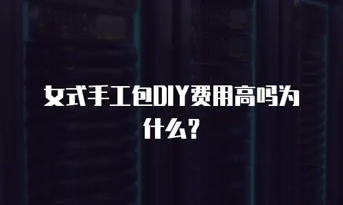 女式手工包DIY费用高吗为什么？