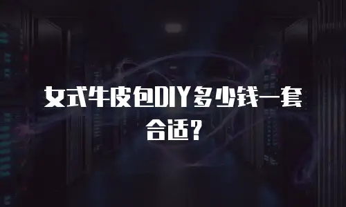 女式牛皮包DIY多少钱一套合适？