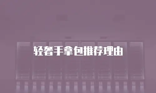 轻奢手拿包推荐理由