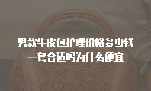 男款牛皮包护理价格多少钱一套合适吗为什么便宜