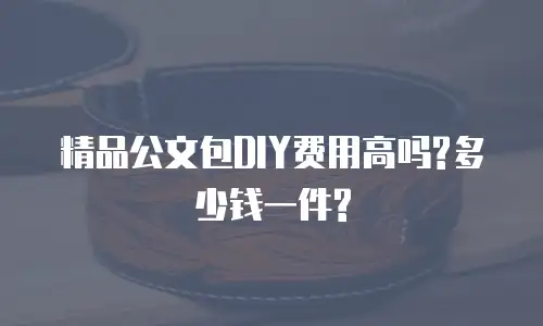 精品公文包DIY费用高吗?多少钱一件?