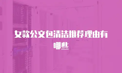 女款公文包清洁推荐理由有哪些