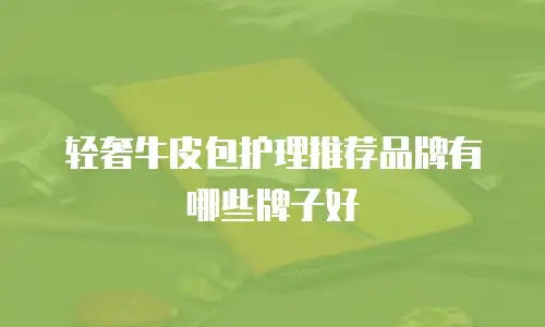 轻奢牛皮包护理推荐品牌有哪些牌子好