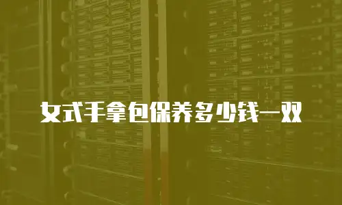女式手拿包保养多少钱一双