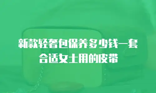 新款轻奢包保养多少钱一套合适女士用的皮带