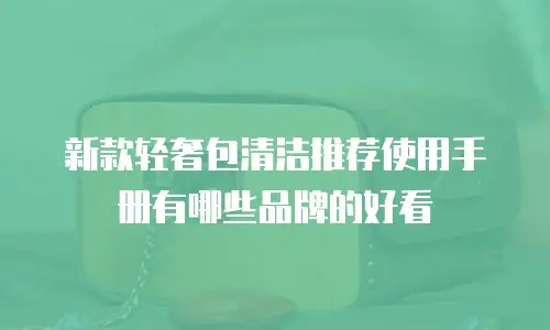 新款轻奢包清洁推荐使用手册有哪些品牌的好看