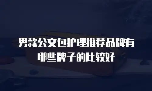 男款公文包护理推荐品牌有哪些牌子的比较好