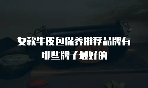 女款牛皮包保养推荐品牌有哪些牌子最好的