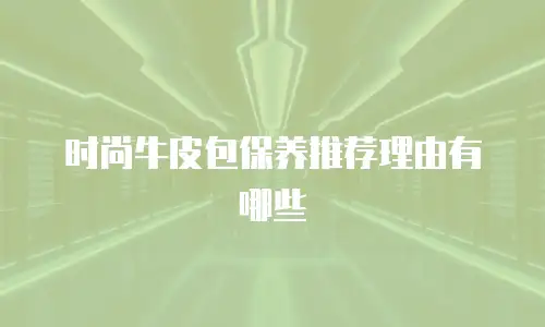 时尚牛皮包保养推荐理由有哪些