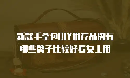 新款手拿包DIY推荐品牌有哪些牌子比较好看女士用