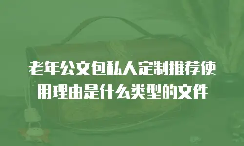 老年公文包私人定制推荐使用理由是什么类型的文件
