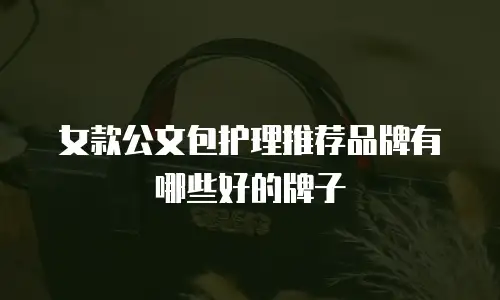 女款公文包护理推荐品牌有哪些好的牌子