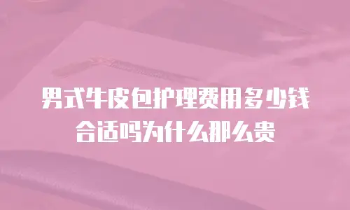 男式牛皮包护理费用多少钱合适吗为什么那么贵