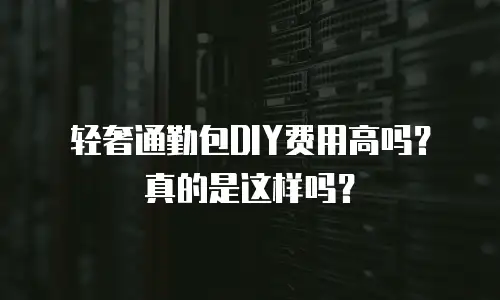轻奢通勤包DIY费用高吗？真的是这样吗？