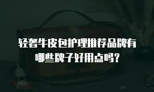 轻奢牛皮包护理推荐品牌有哪些牌子好用点吗？