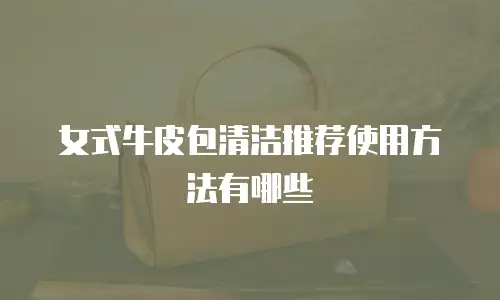 女式牛皮包清洁推荐使用方法有哪些