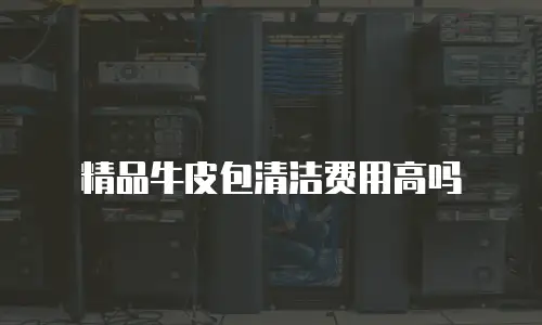 精品牛皮包清洁费用高吗
