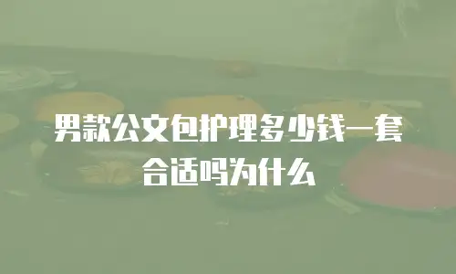 男款公文包护理多少钱一套合适吗为什么