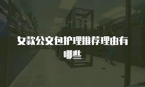 女款公文包护理推荐理由有哪些