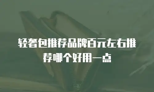 轻奢包推荐品牌百元左右推荐哪个好用一点