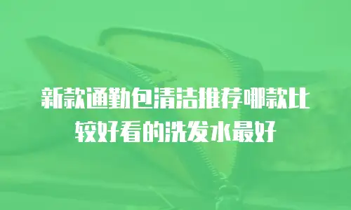 新款通勤包清洁推荐哪款比较好看的洗发水最好