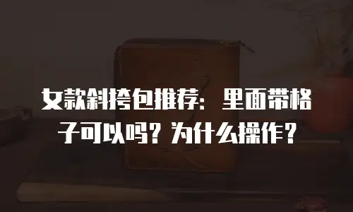 女款斜挎包推荐：里面带格子可以吗？为什么操作？
